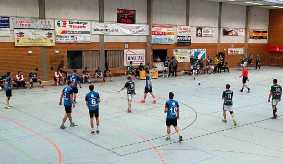 Finale 560 Sandweier Blaustein 201617 54