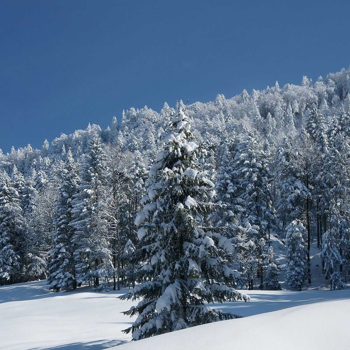 WeihnachtenNeu